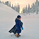 Sledging visiting Lapland