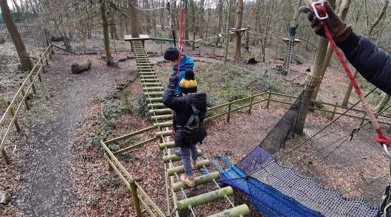 Kids on Treetop trek