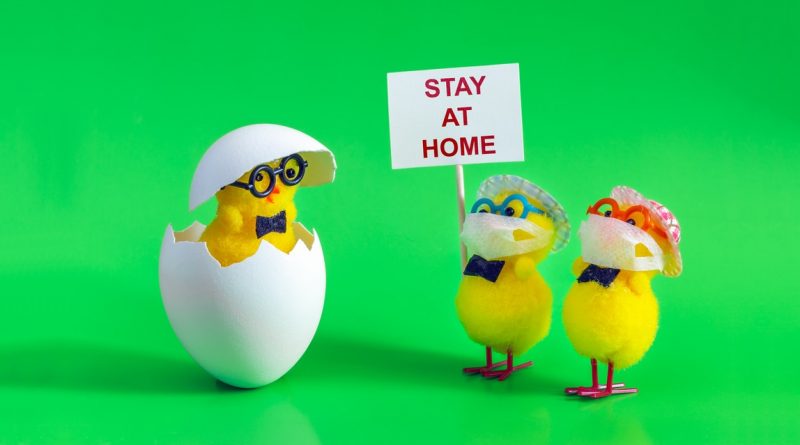 Easter chicks with "stay at home" sign