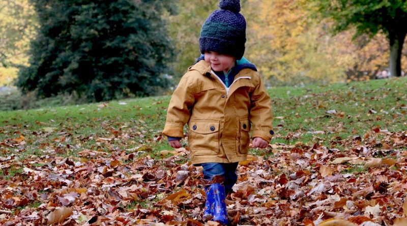 Boy on nature Autumn walk by Michael Podger from unsplash