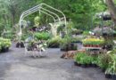Mellor Country House plants for charity event
