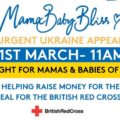 MamaBabyBliss Fundraiser poster