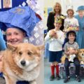 Visit from Rudey the corgi to King's