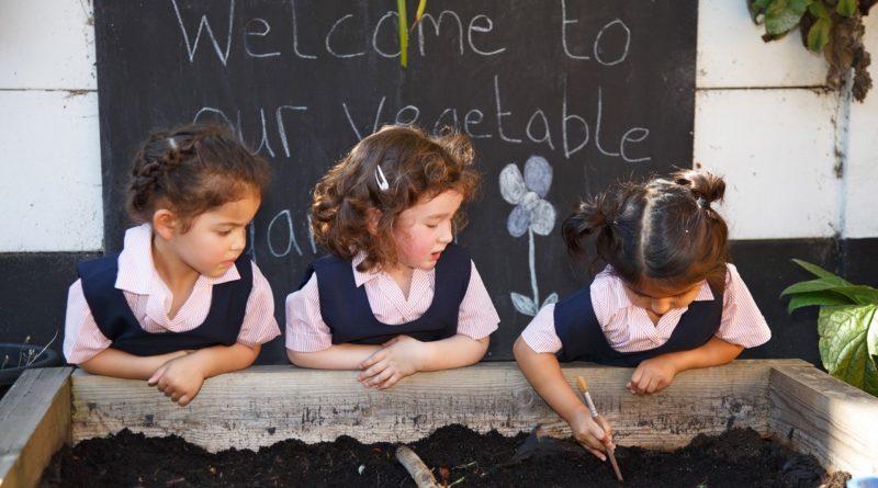 Growing Vegetables at Bowdon Prep School