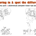 Koala spot the difference slider