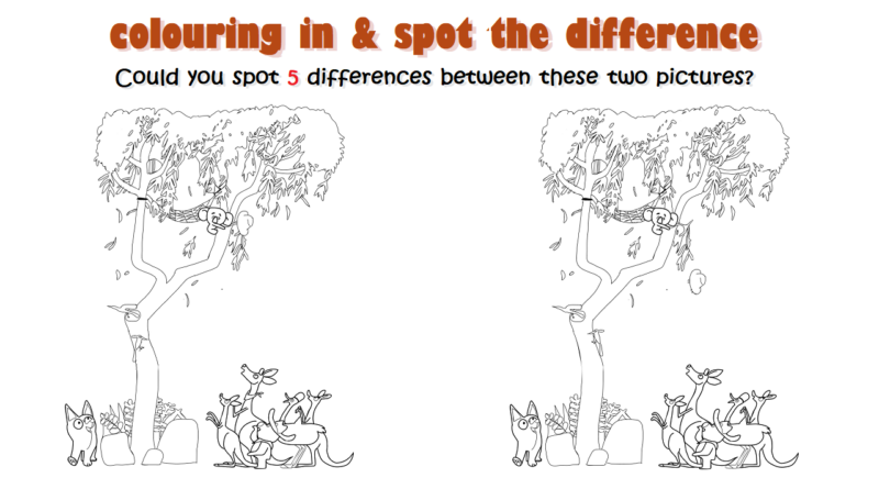 Koala spot the difference slider