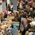 The Northern Vegan Festival in action