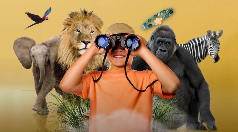 Wild summer at Mill Gate Shopping Centre, Bury