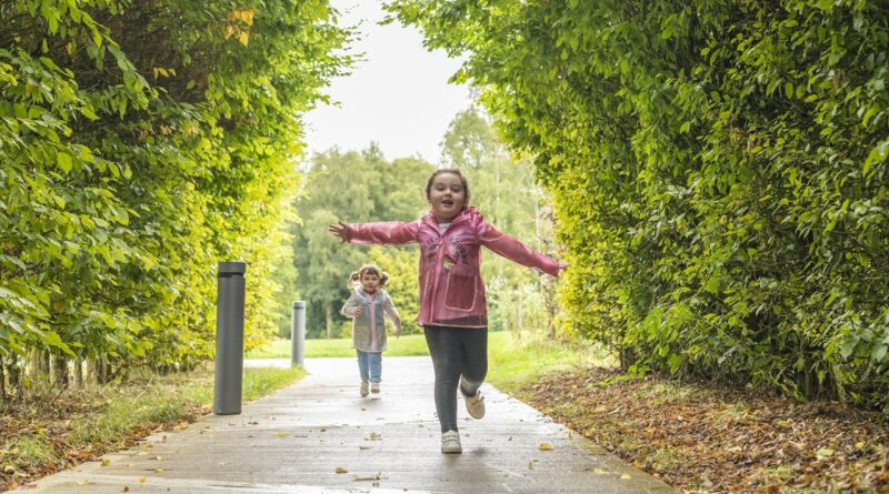 Autumn in Cheshire - Jodrell Bank