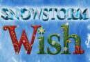 Snowstorm Wish circus skating Christmas show logo