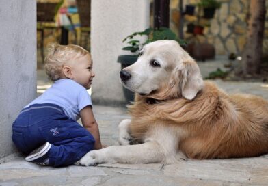 A child with a family dog