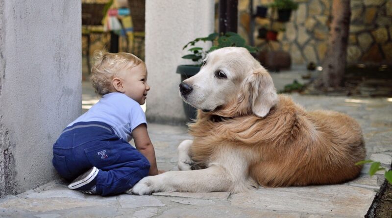 A child with a family dog