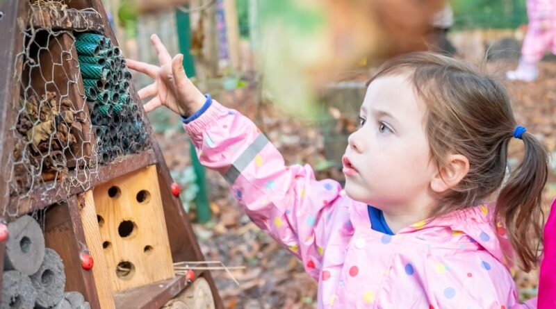 Bridgewater Forest School | Outdoor Lesson