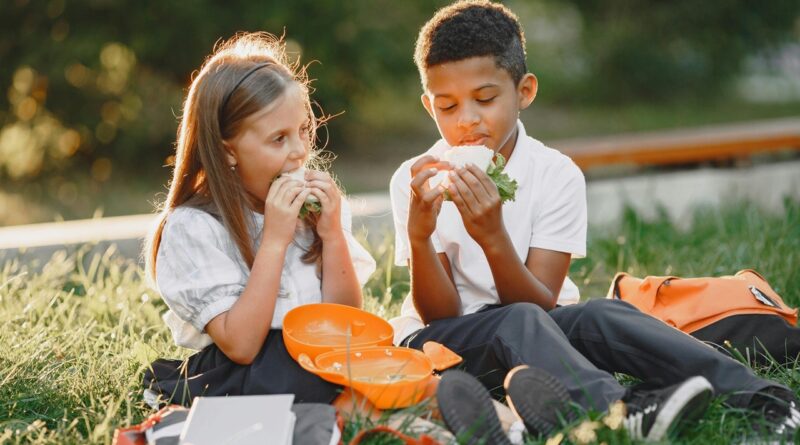 Healthy lunch on the grass.