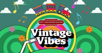 Vintage Vibes music festival at ELR