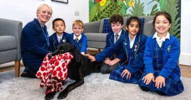 Wraparound Care: Supporting Busy Families