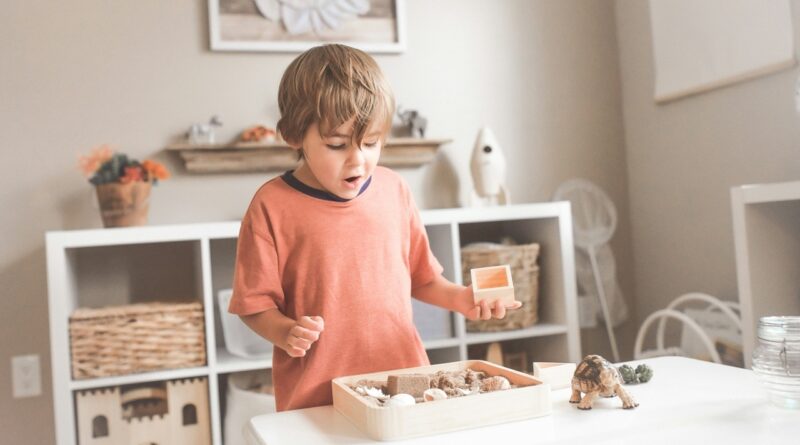 A child with his toys