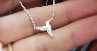 Win a Beautiful Tiny Hummingbird Necklace Worth £125